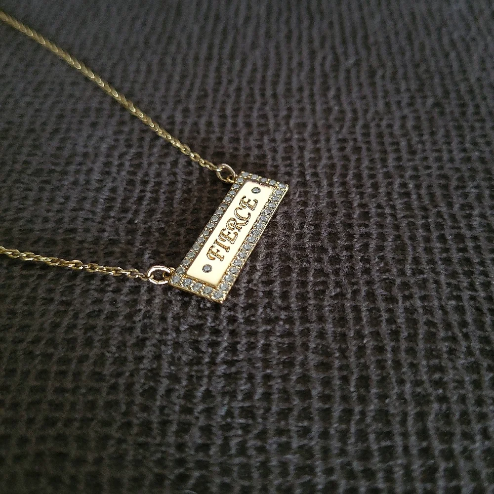 Lulu DK "Fierce"💪 Stationary Bar Necklace - NWOT - Picture 5 of 15